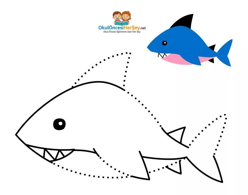 Çizgi Çalışmaları