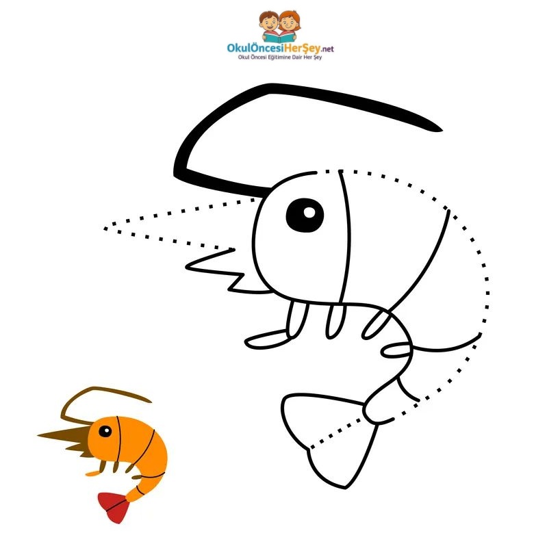 Çizgi Çalışmaları