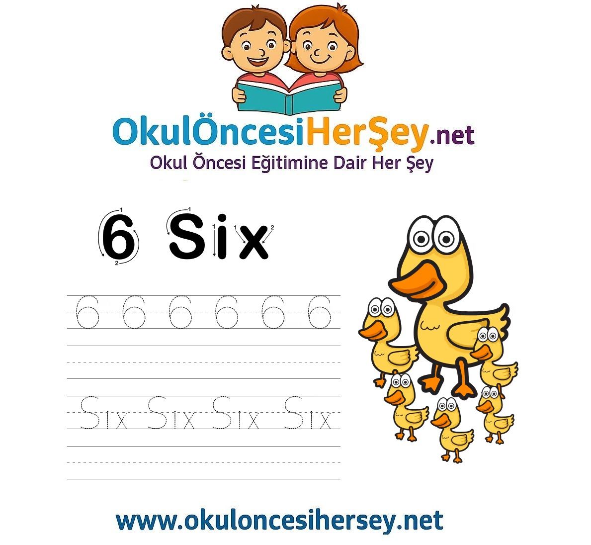 Çizgi Çalışmaları