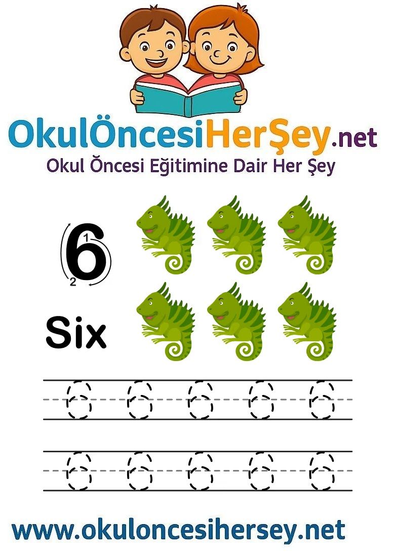 Çizgi Çalışmaları