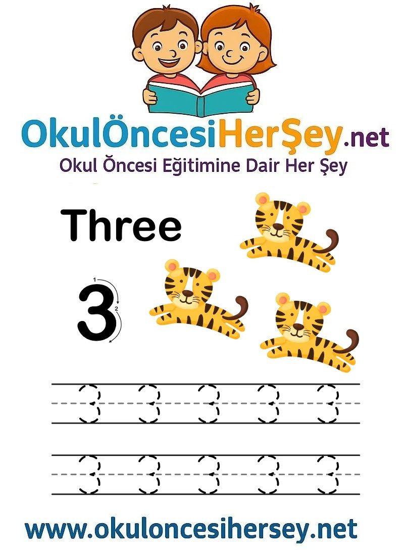 Çizgi Çalışmaları