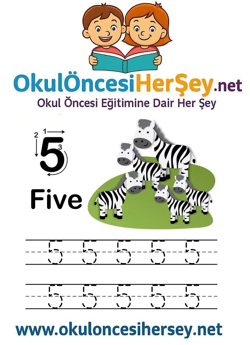 Çizgi Çalışmaları