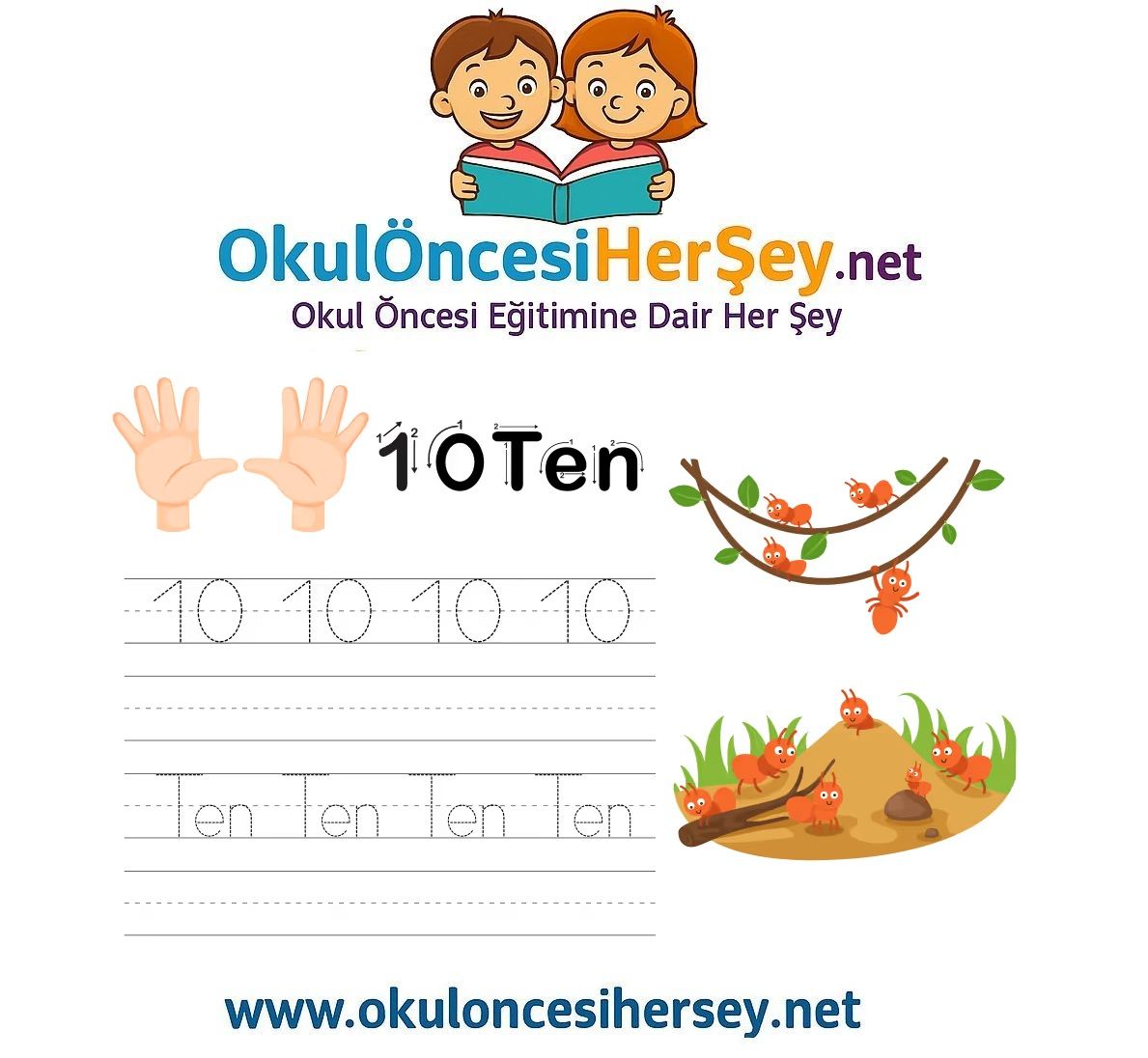 Çizgi Çalışmaları