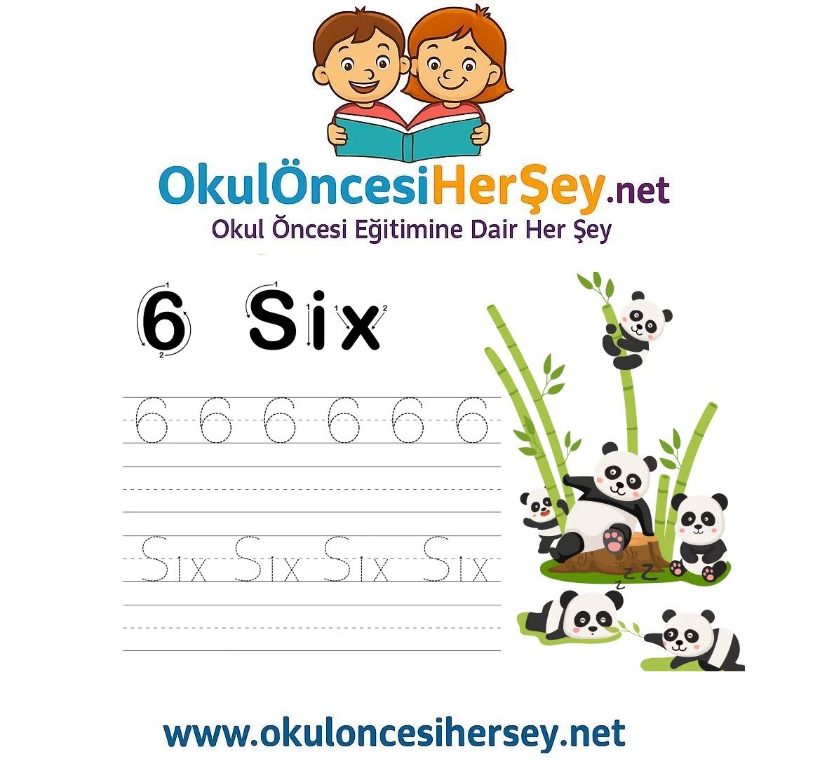 Çizgi Çalışmaları