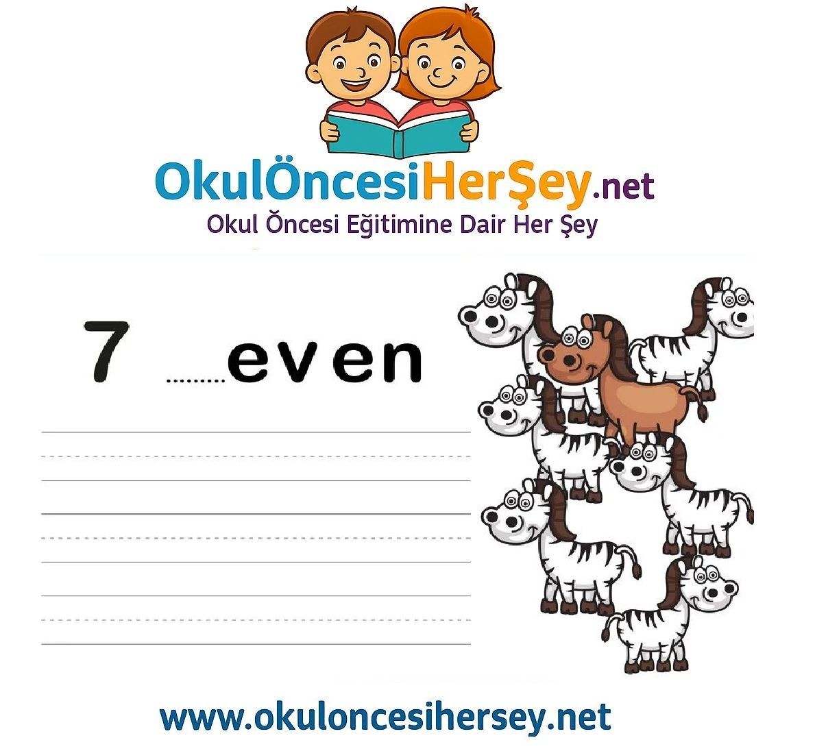 Çizgi Çalışmaları