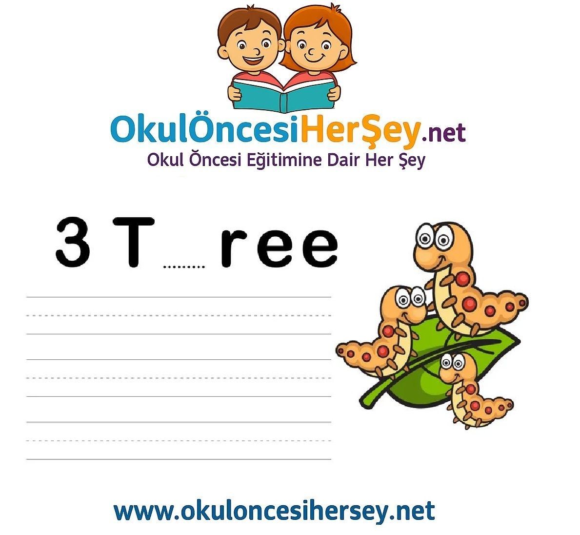 Çizgi Çalışmaları