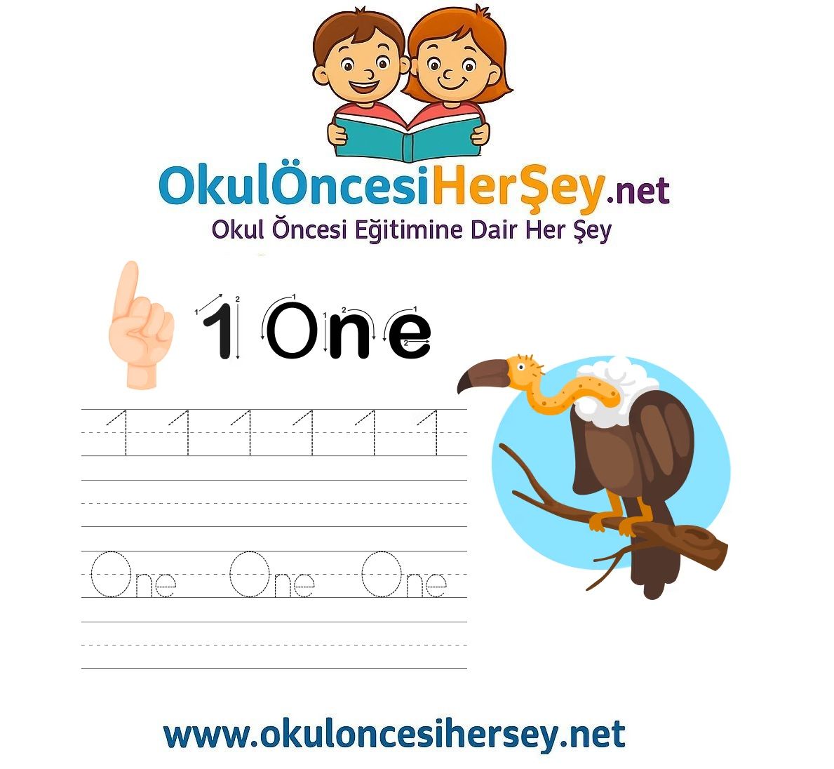 Çizgi Çalışmaları