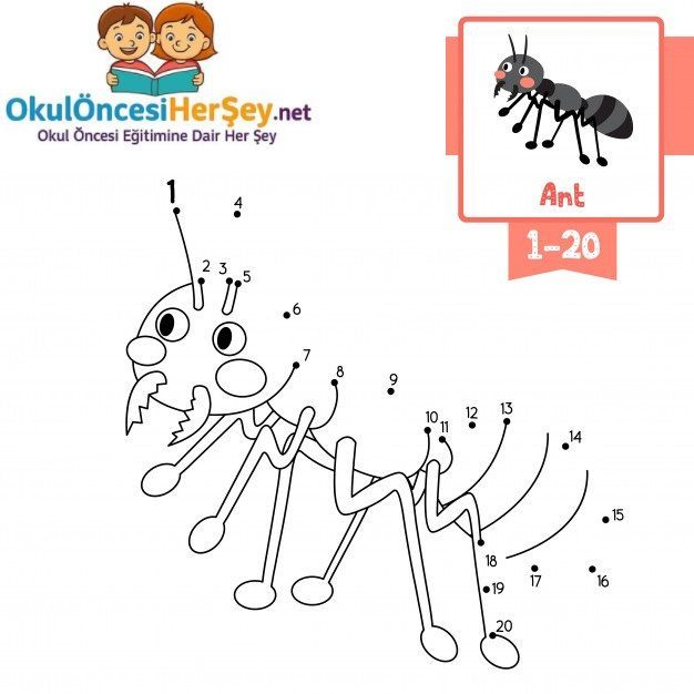 Çizgi Çalışmaları