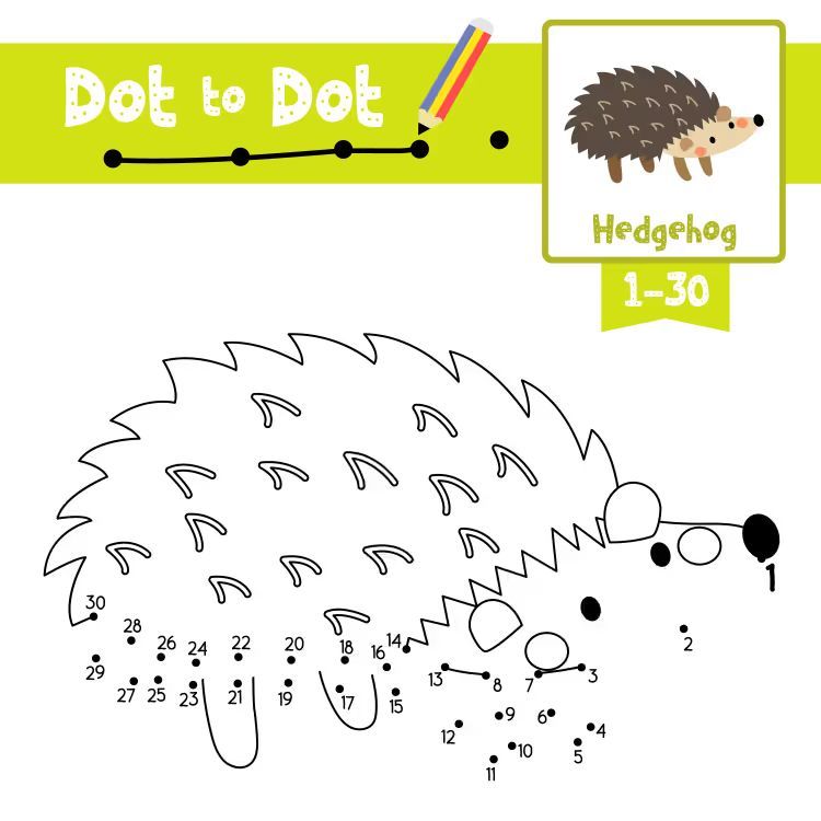 Çizgi Çalışmaları