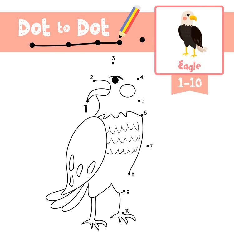 Çizgi Çalışmaları