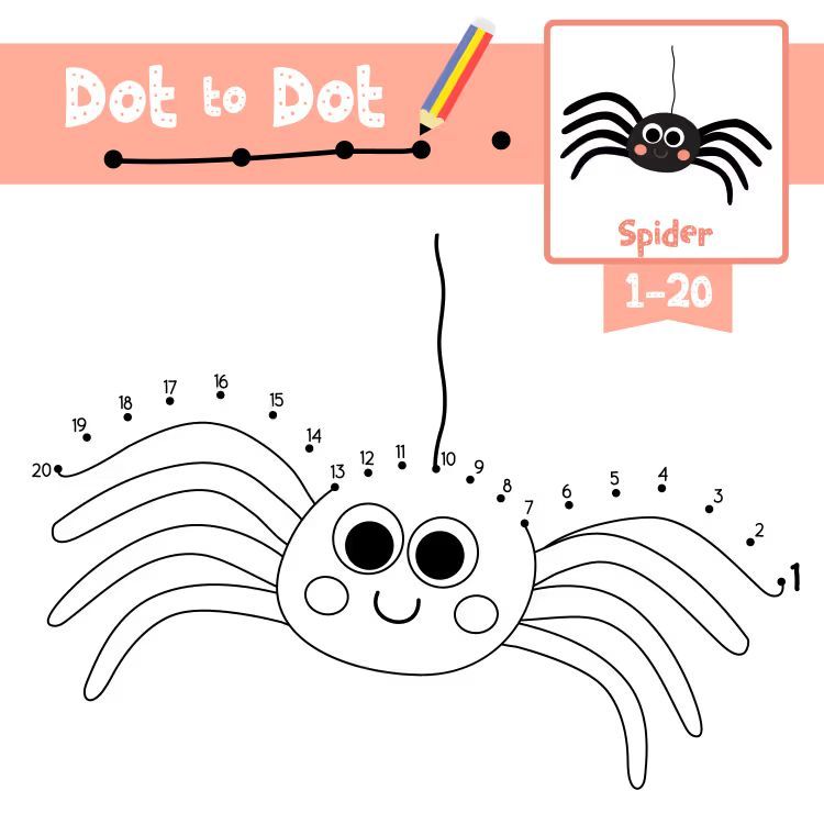 Çizgi Çalışmaları