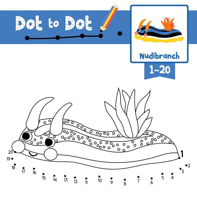 Çizgi Çalışmaları