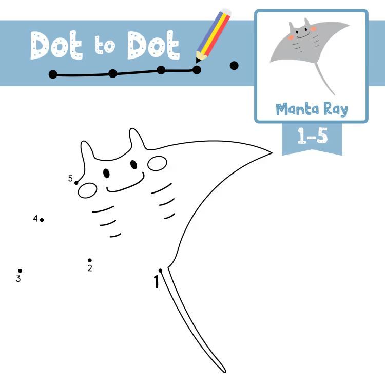 Çizgi Çalışmaları