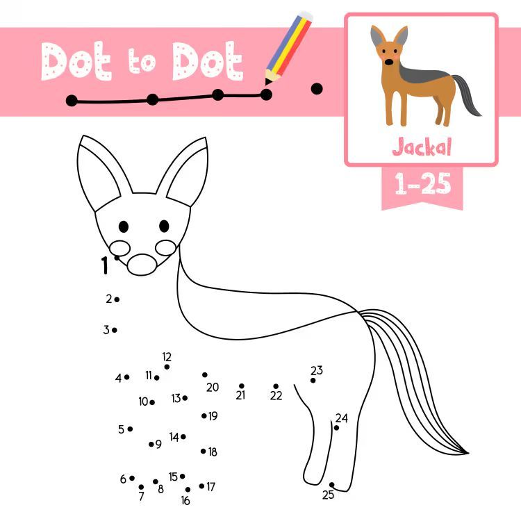 Çizgi Çalışmaları