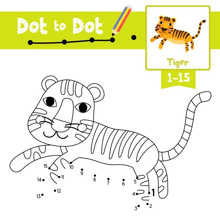 Çizgi Çalışmaları