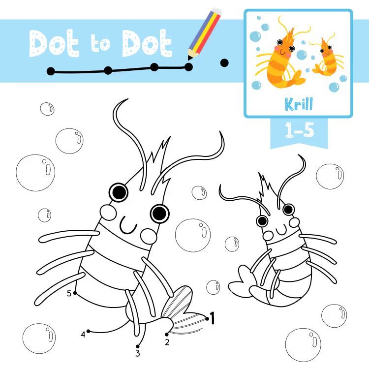 Çizgi Çalışmaları