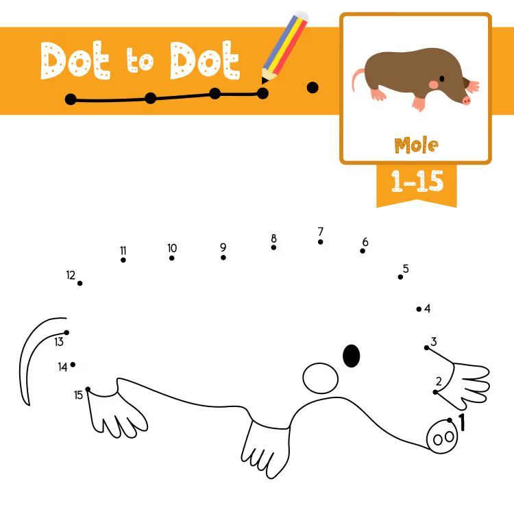 Çizgi Çalışmaları