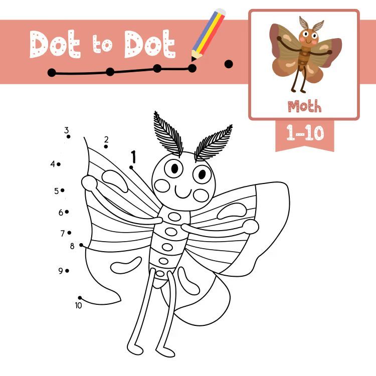 Çizgi Çalışmaları