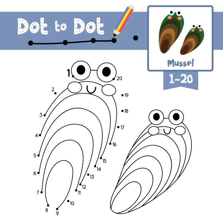 Çizgi Çalışmaları