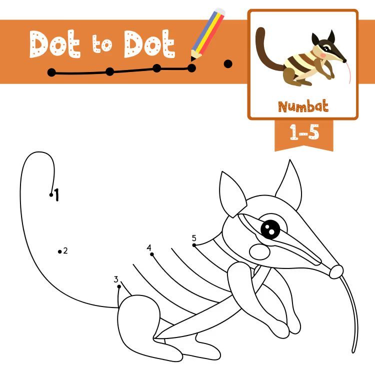 Çizgi Çalışmaları