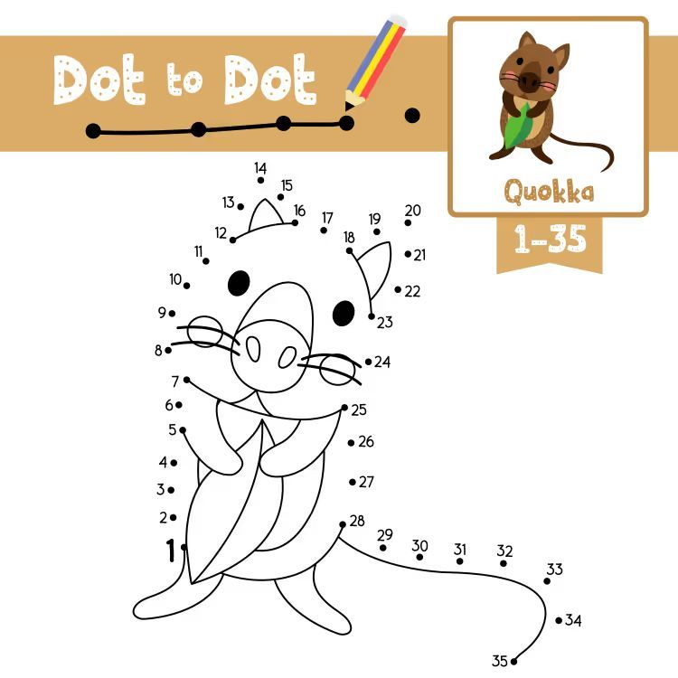 Çizgi Çalışmaları