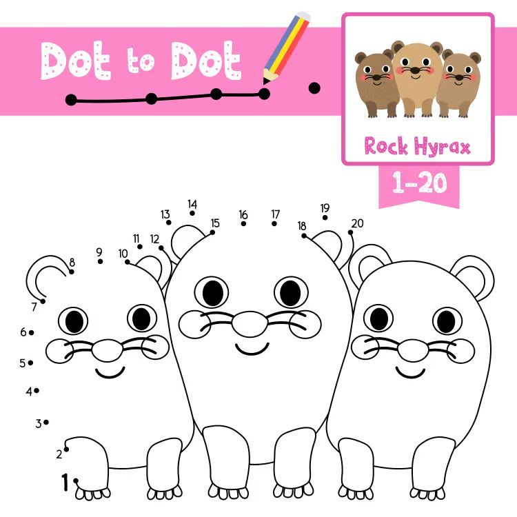 Çizgi Çalışmaları