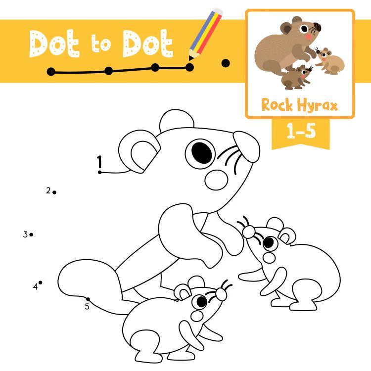 Çizgi Çalışmaları