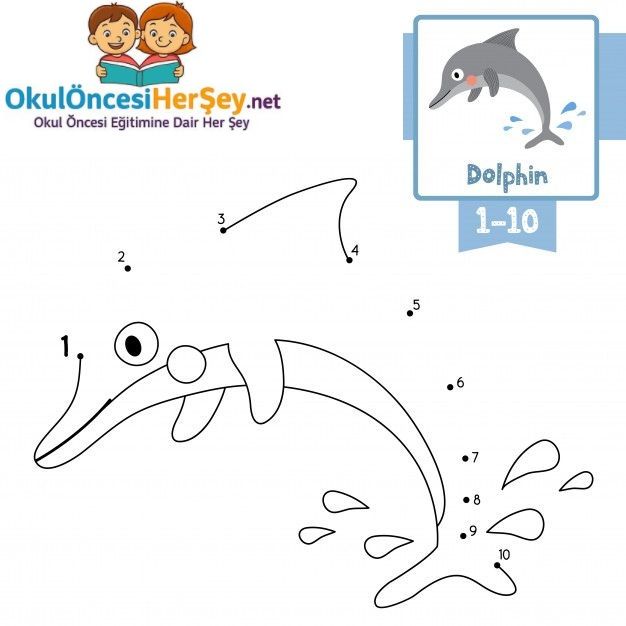 Çizgi Çalışmaları