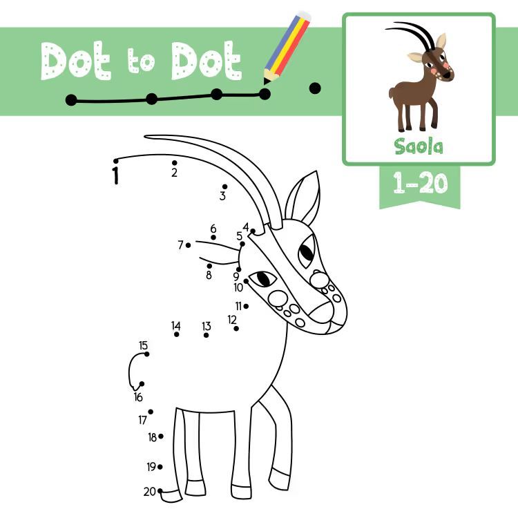 Çizgi Çalışmaları