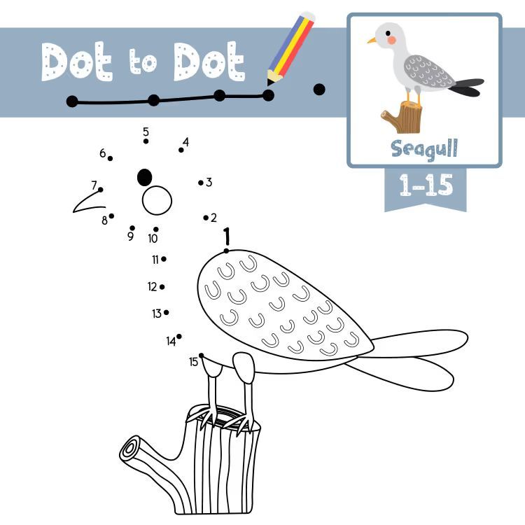 Çizgi Çalışmaları