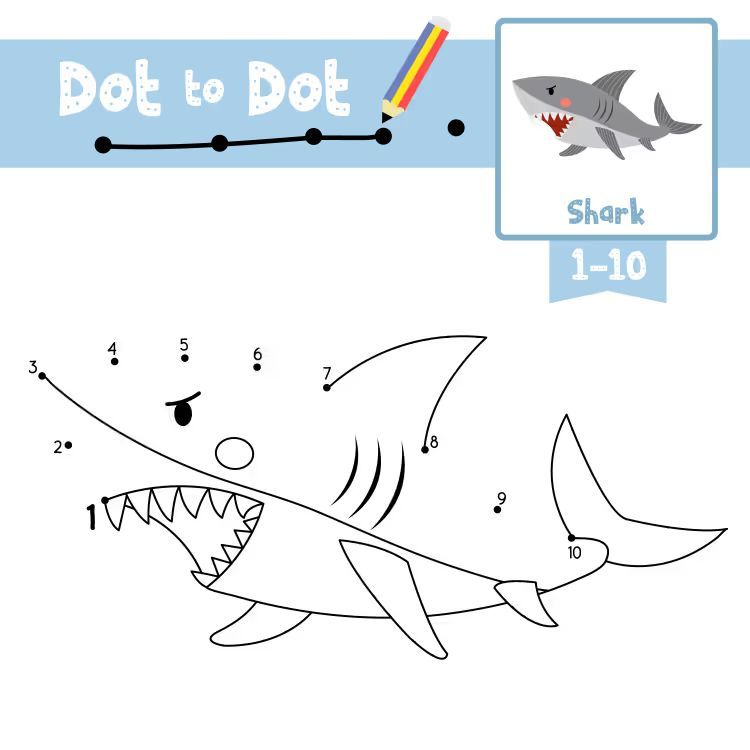 Çizgi Çalışmaları