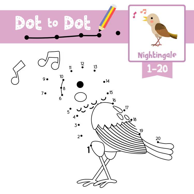 Çizgi Çalışmaları