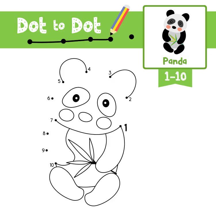 Çizgi Çalışmaları