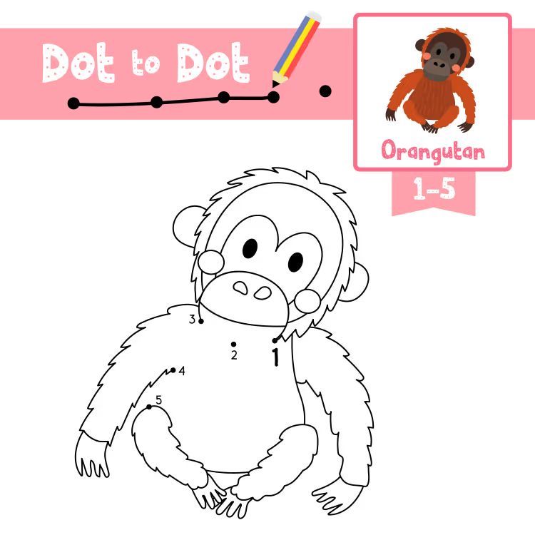 Çizgi Çalışmaları