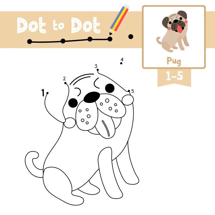 Çizgi Çalışmaları