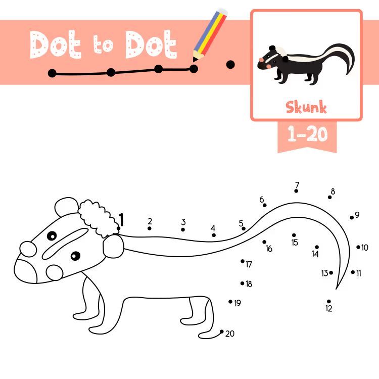 Çizgi Çalışmaları