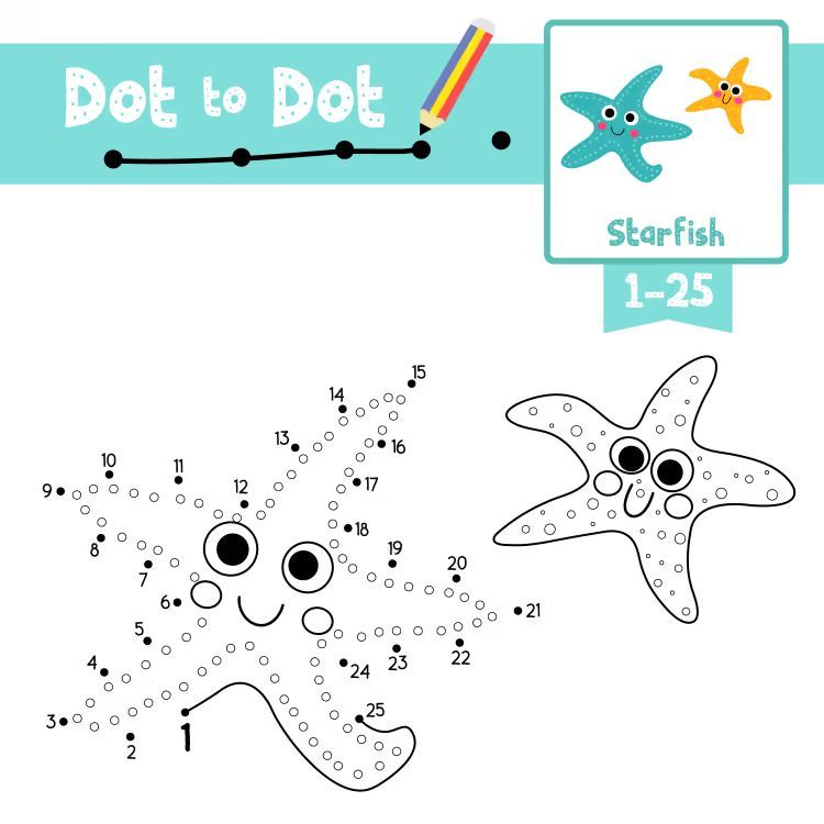 Çizgi Çalışmaları