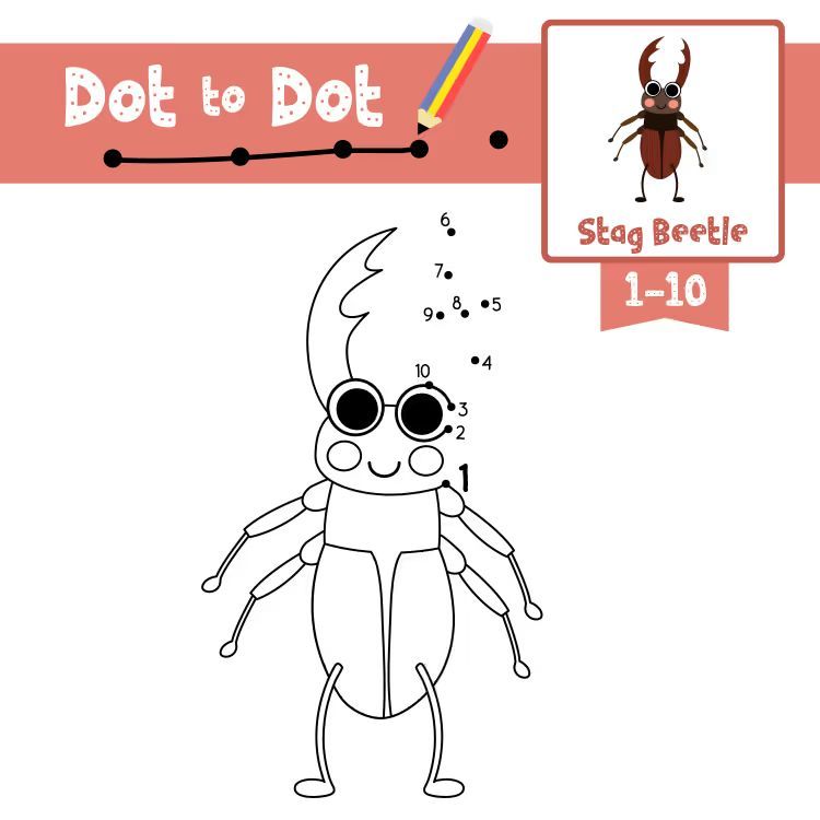 Çizgi Çalışmaları