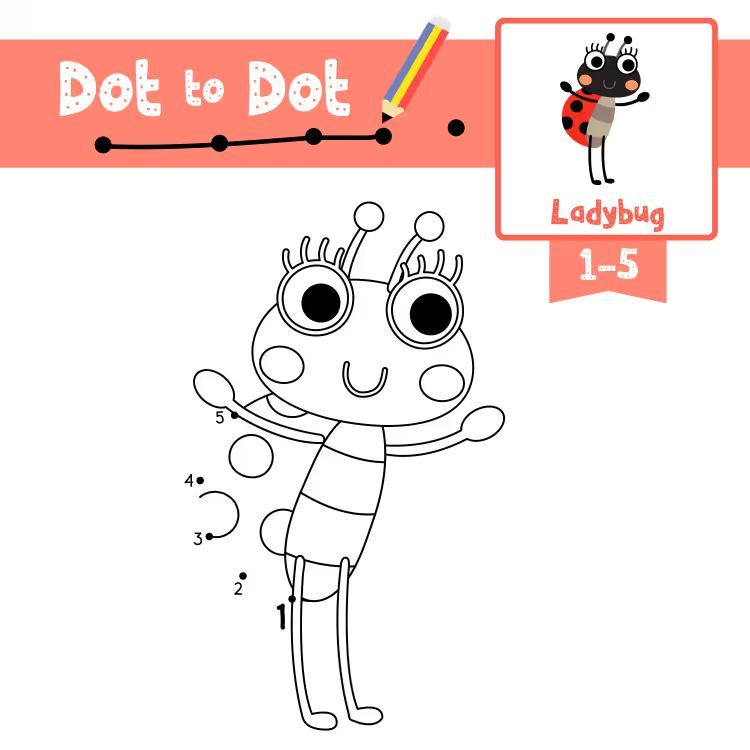 Çizgi Çalışmaları