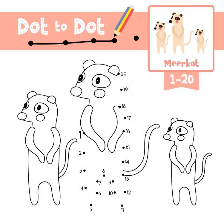 Çizgi Çalışmaları