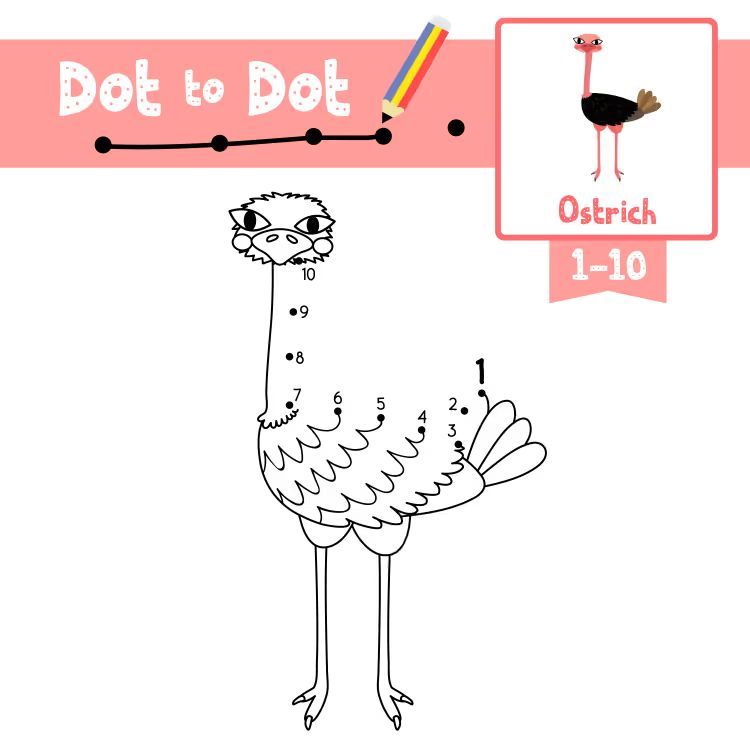 Çizgi Çalışmaları