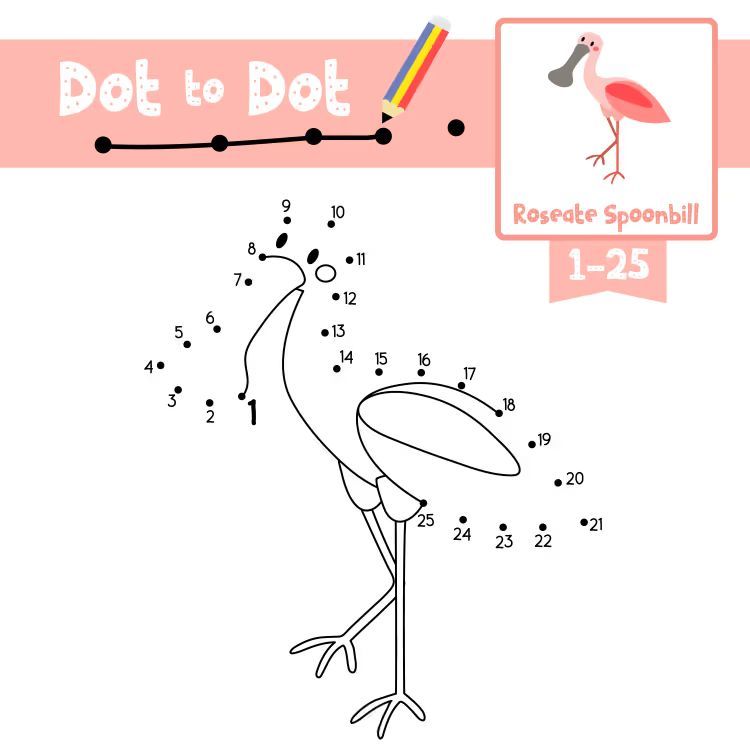 Çizgi Çalışmaları