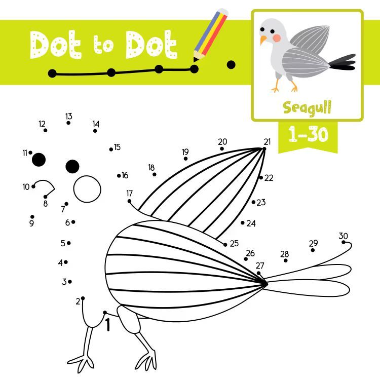 Çizgi Çalışmaları