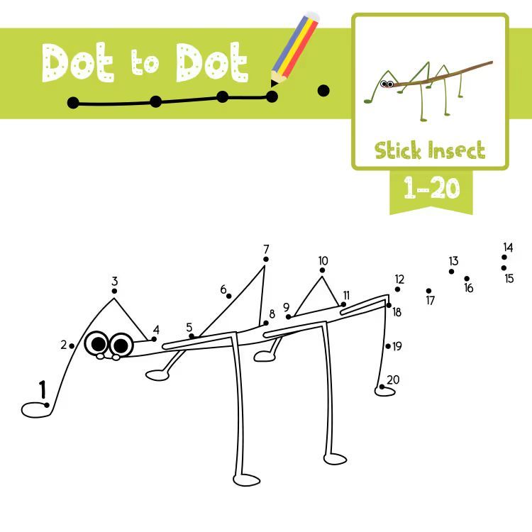 Çizgi Çalışmaları