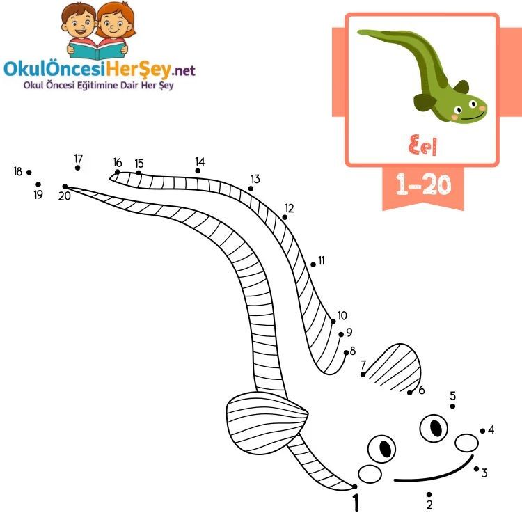 Çizgi Çalışmaları