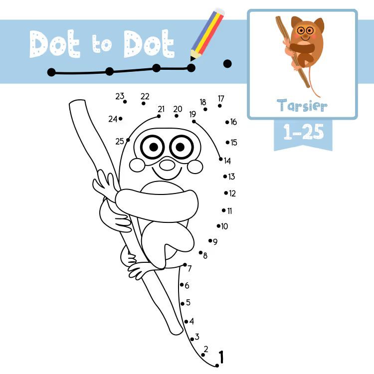 Çizgi Çalışmaları