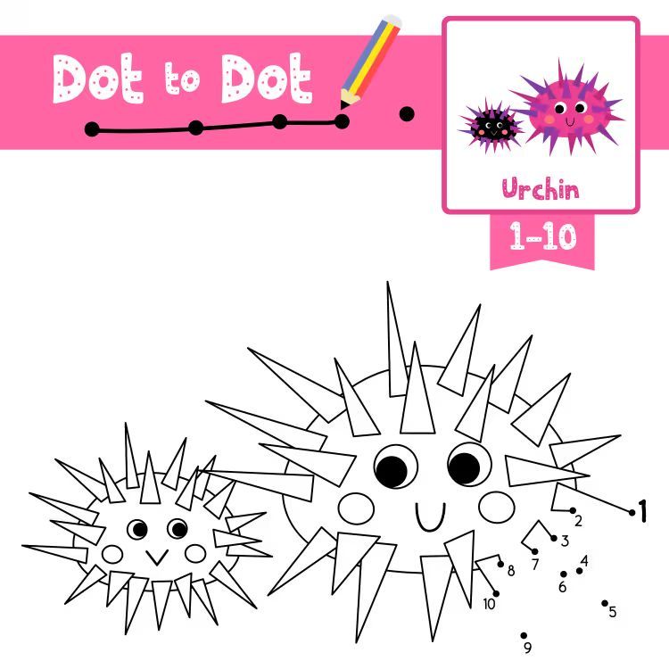 Çizgi Çalışmaları