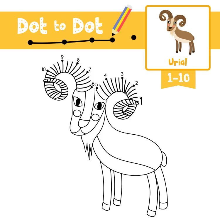 Çizgi Çalışmaları