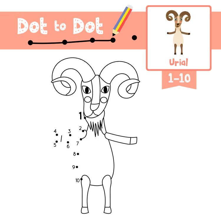 Çizgi Çalışmaları