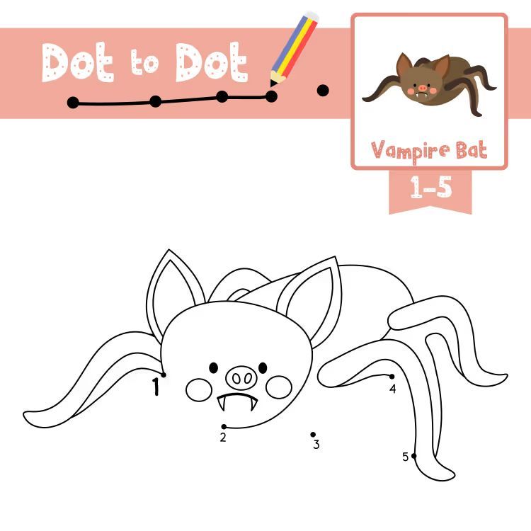 Çizgi Çalışmaları